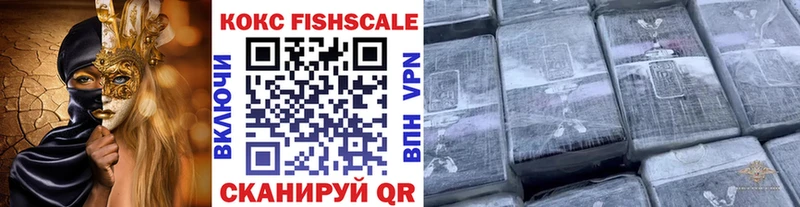 купить  цена  Кемь  Кокаин Fish Scale 