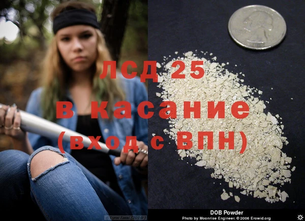гидра Алексеевка