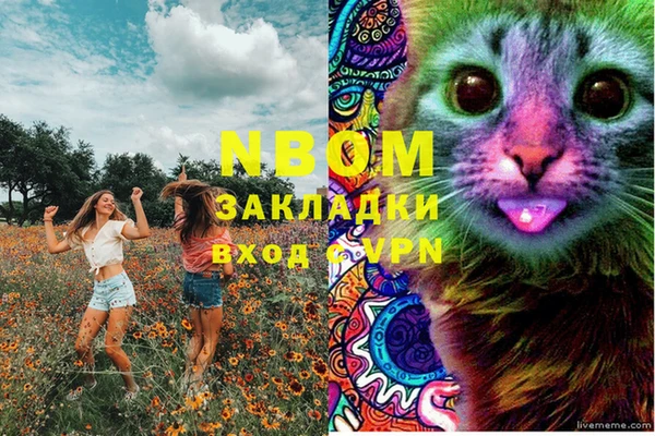гидра Алексеевка
