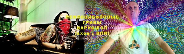 амф Алзамай