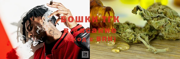 гидра Алексеевка