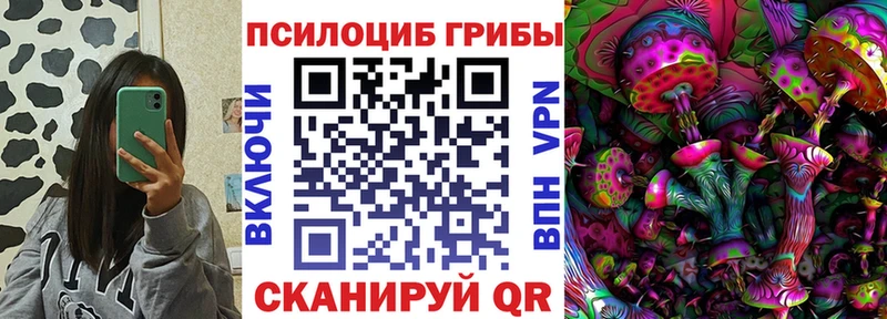 Галлюциногенные грибы Psilocybe  kraken ONION  это какой сайт  Кемь 
